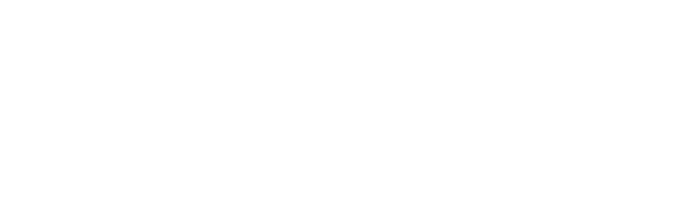 Data Driven Government